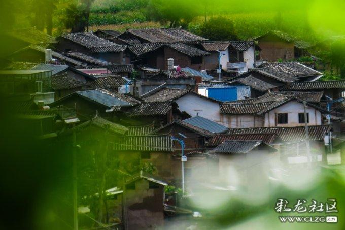世界射箭锦标赛